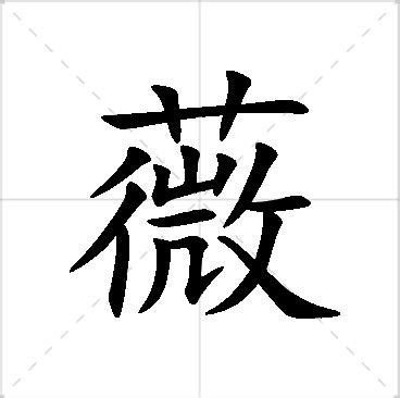 薇名字|薇字取名的寓意